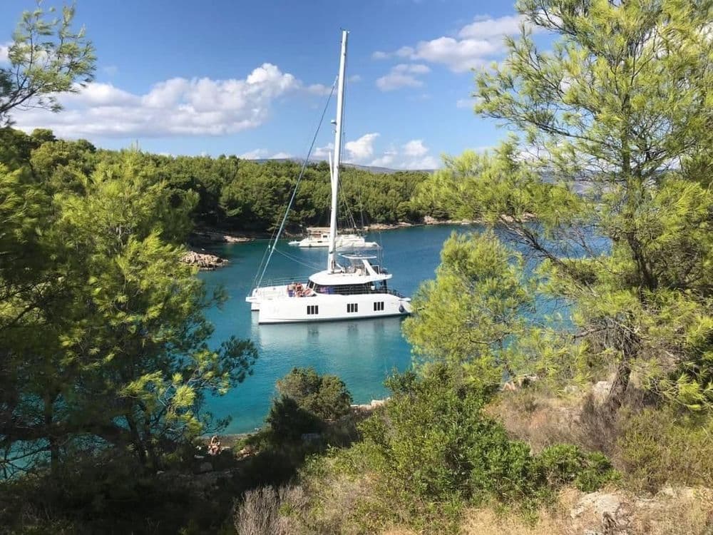 sunreef 50 tiril through the trees