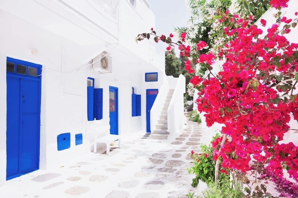 mykonos with path blue doors and pink flowers greece