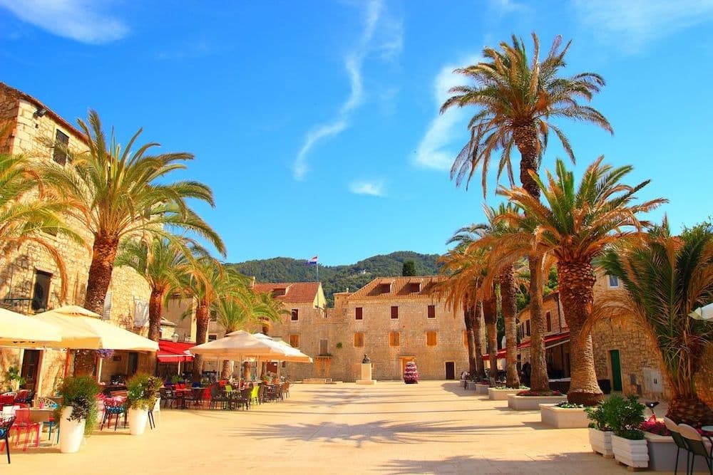 starigrad hvar croatia palm trees town