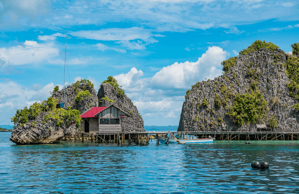 Day 4: South East Misool