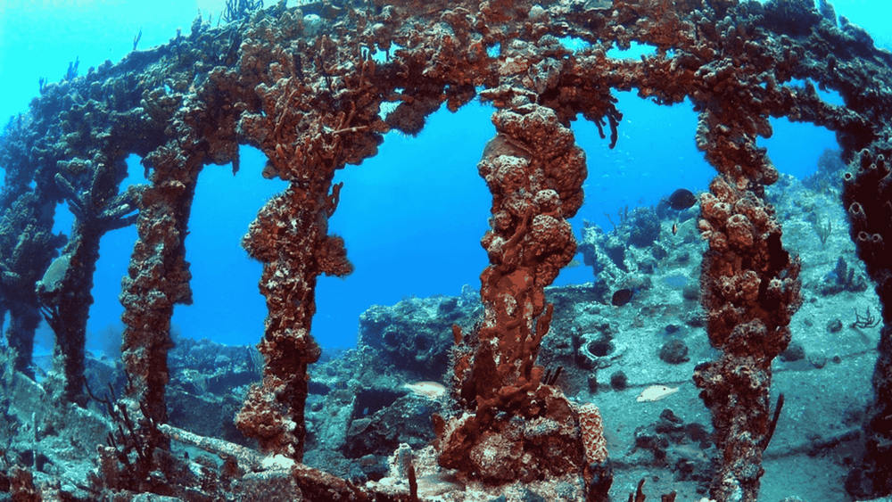 RMS Rhone National Marine Park