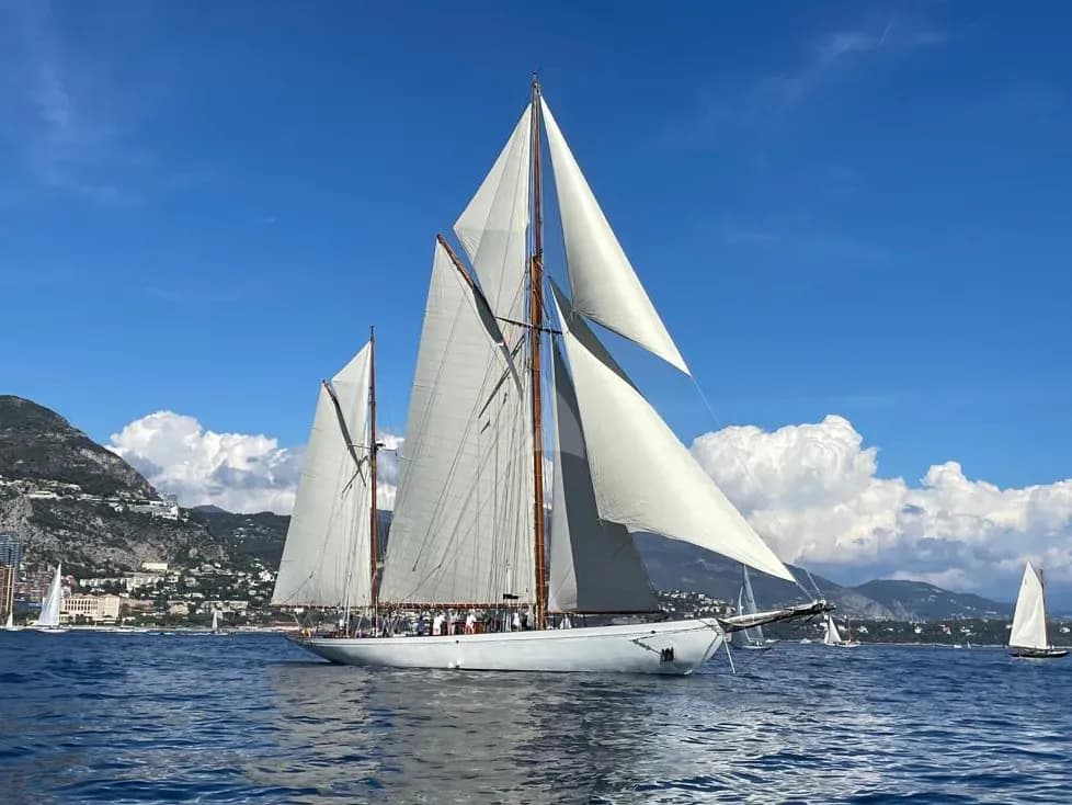 Black Swan – Camper & Nicholsons
