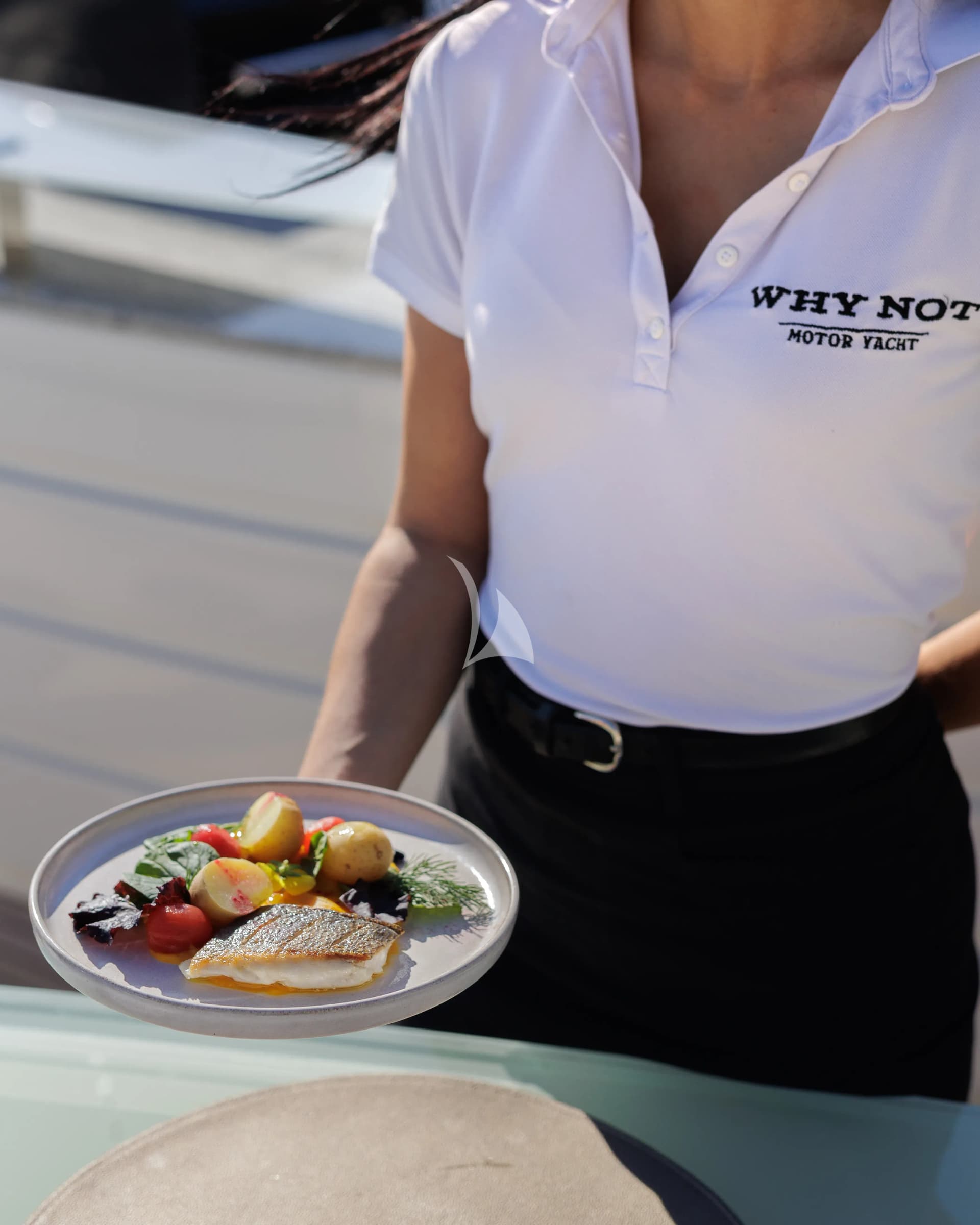 WHY NOT – Exterior