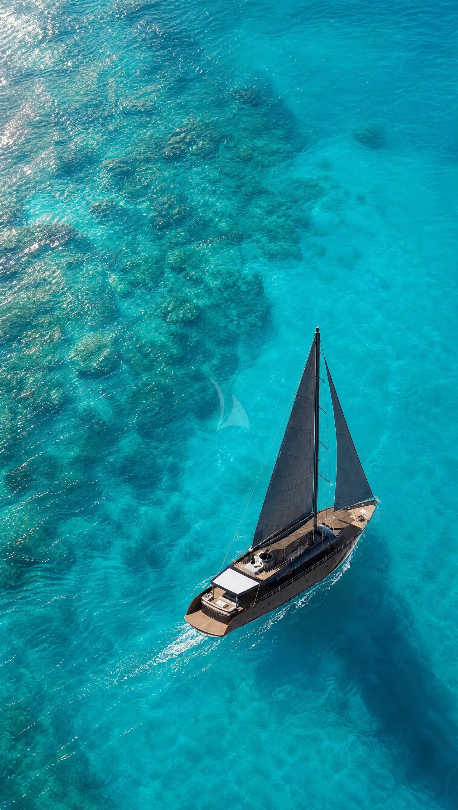 Rara Avis – Exterior