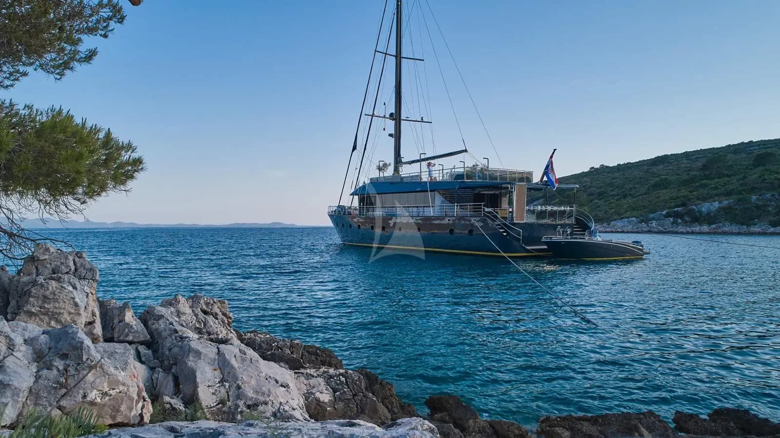 Rara Avis – Exterior