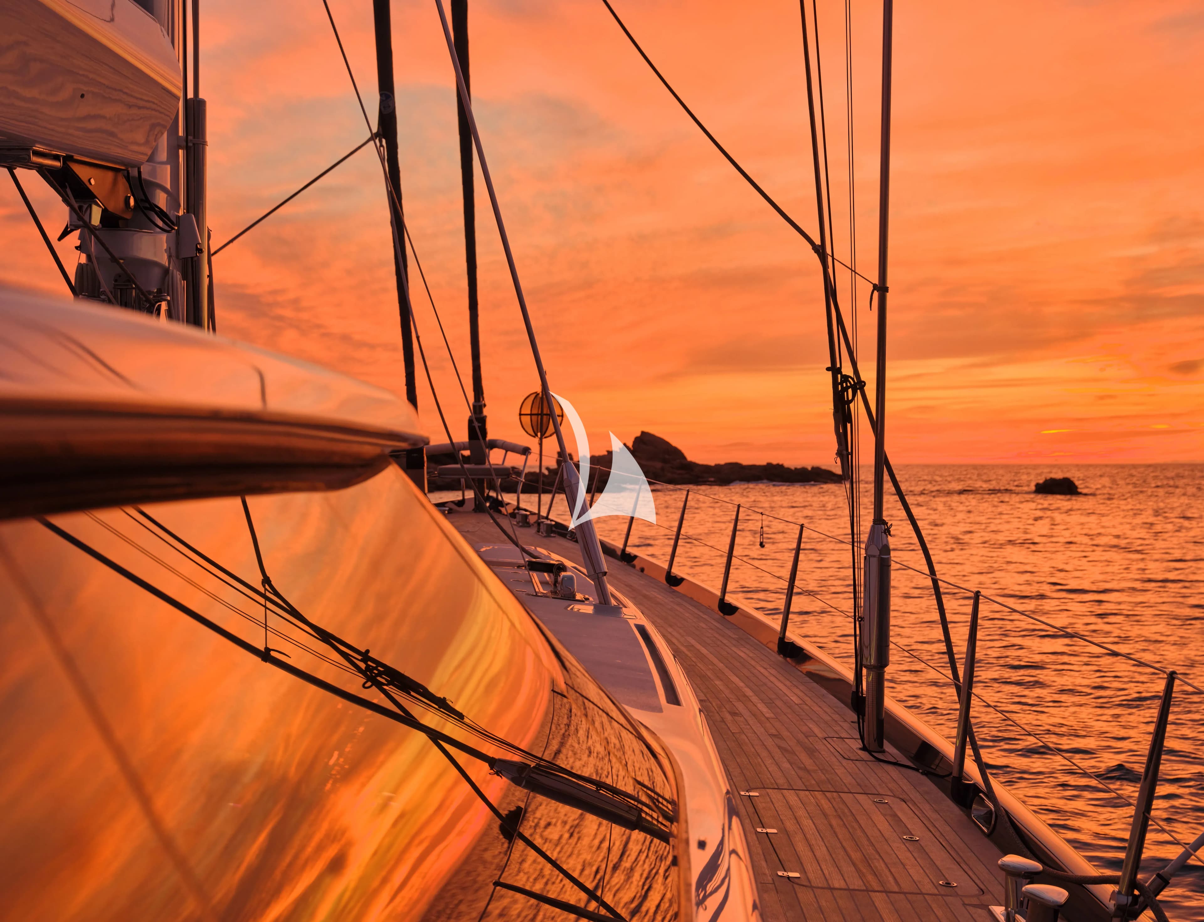 GUILLEMOT – Exterior