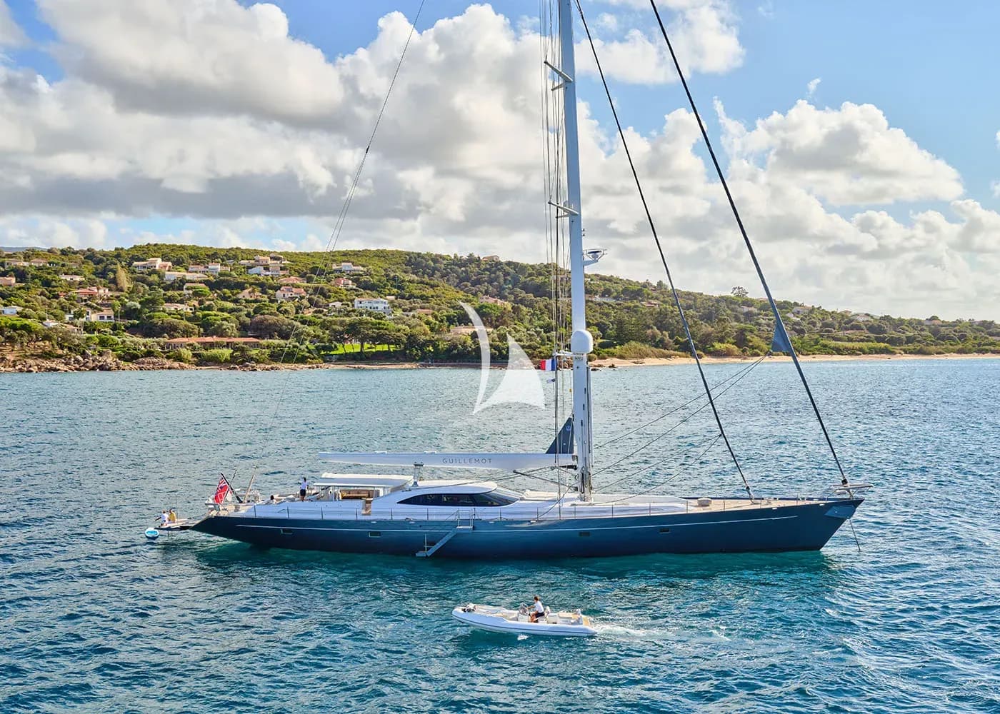 GUILLEMOT – Exterior