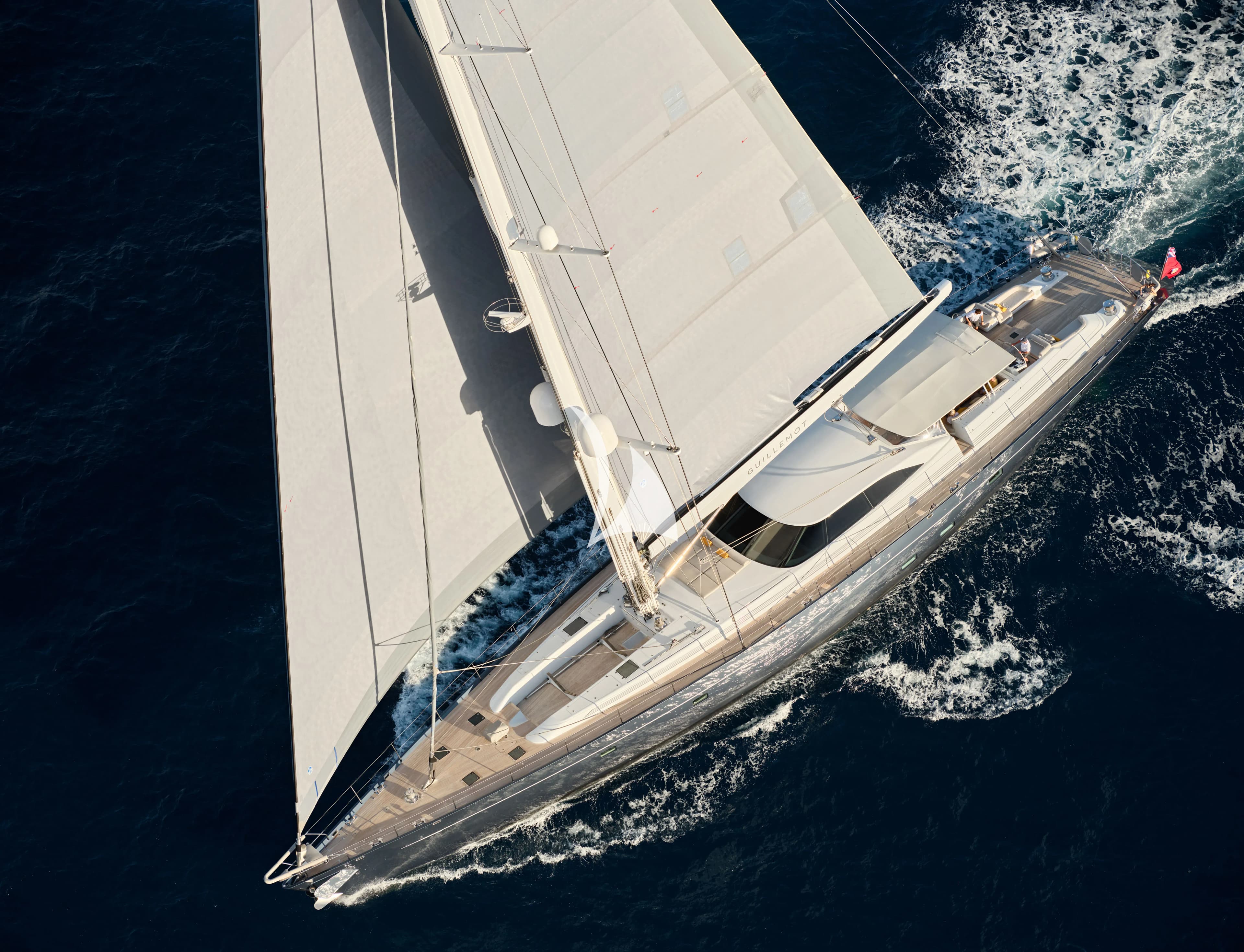GUILLEMOT – Exterior