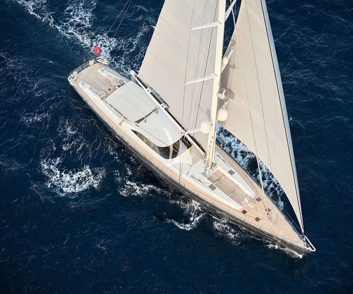 GUILLEMOT – Exterior