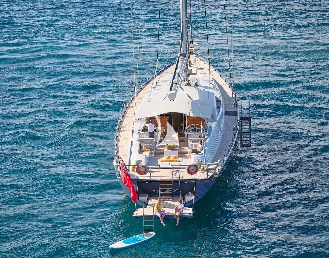 GUILLEMOT – Exterior