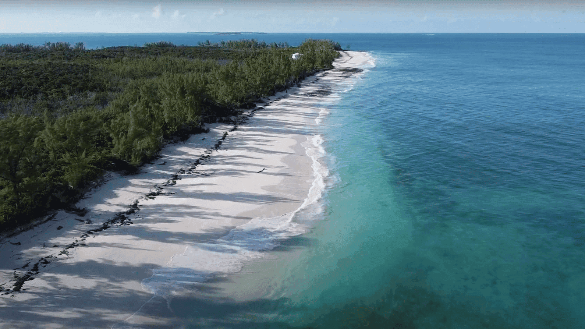 bahamas-beach-shore-abacos