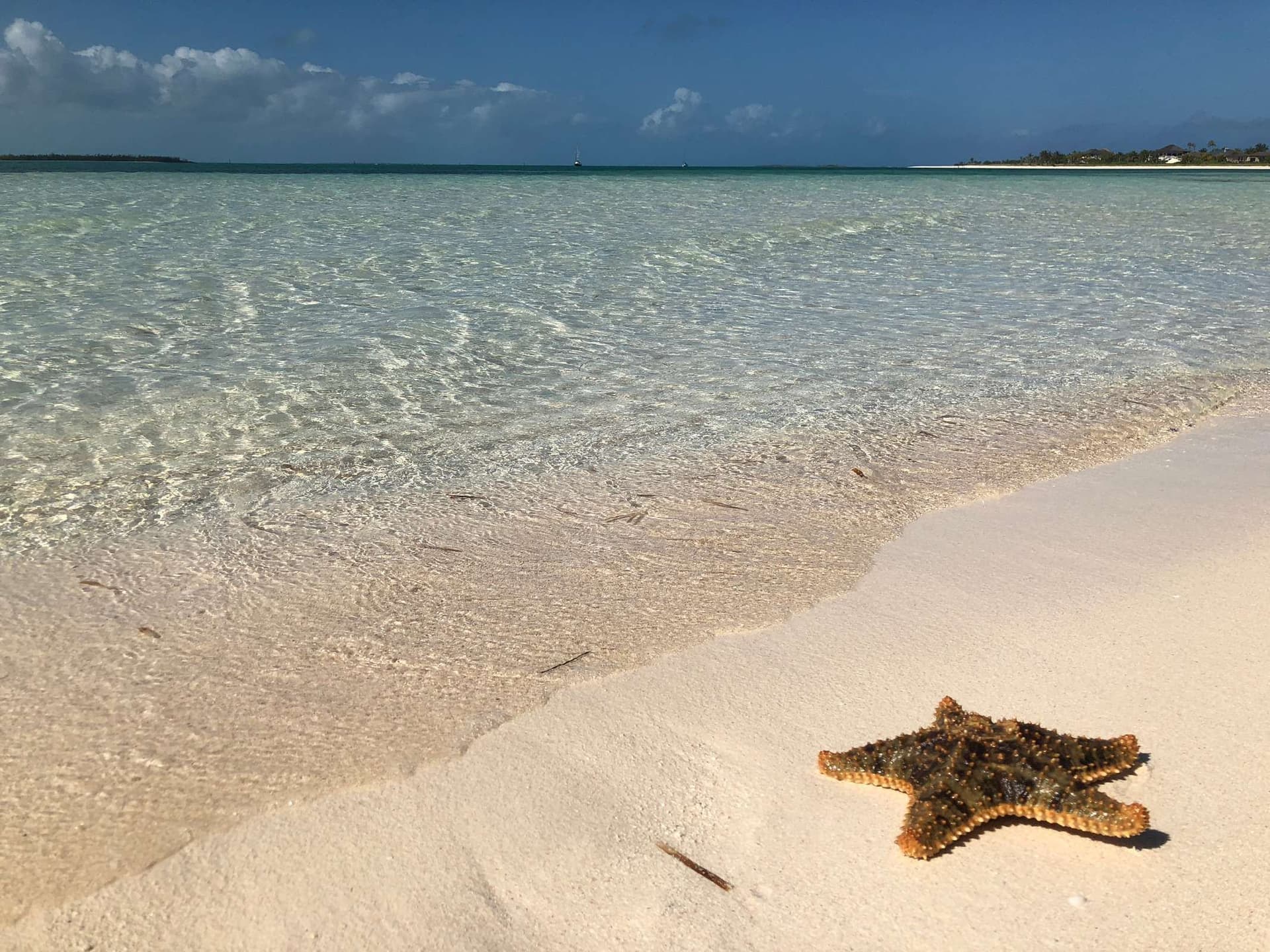 bahamas-abacos-starfish-beach