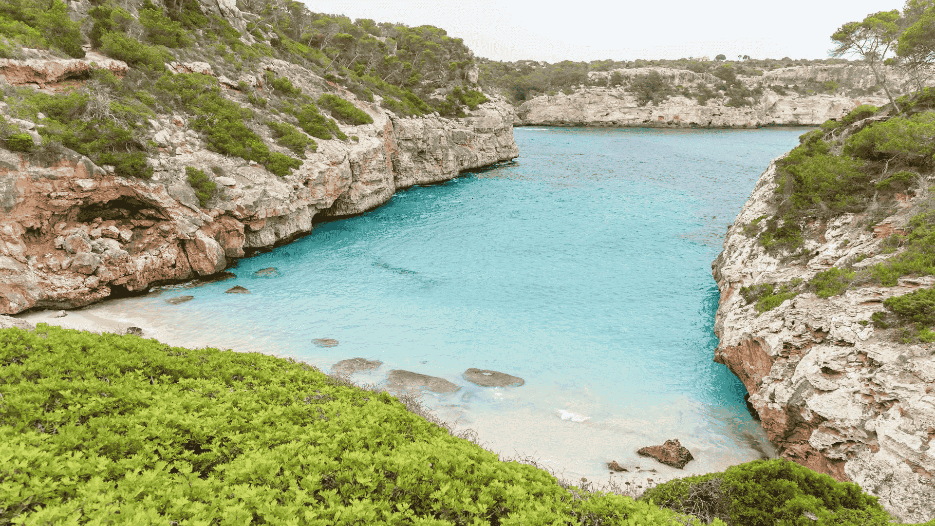 calo des moro