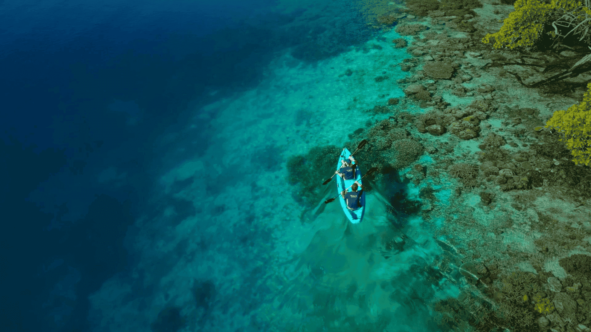 majik kayak