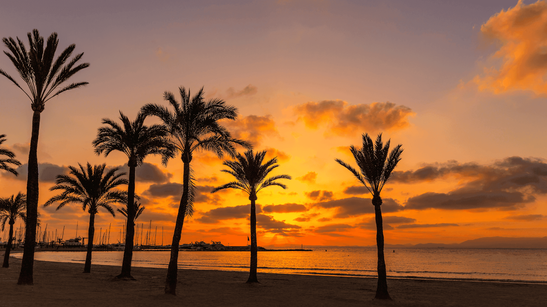 Playa de Palma El Arenal