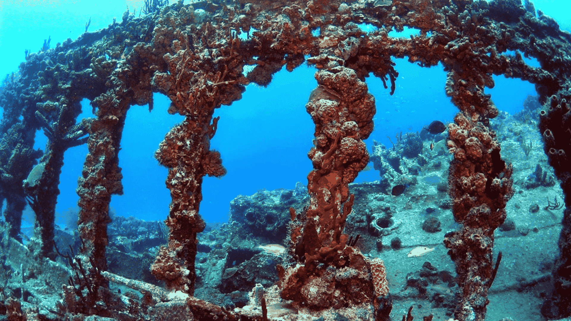 RMS Rhone National Marine Park