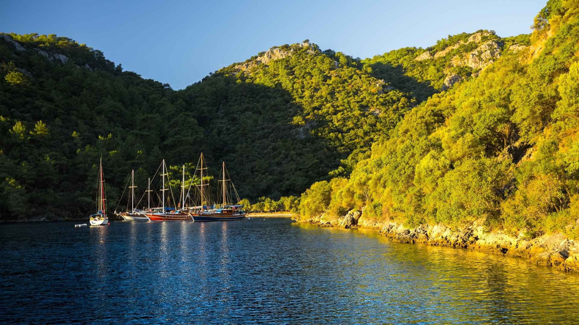 skopea limani wall bay