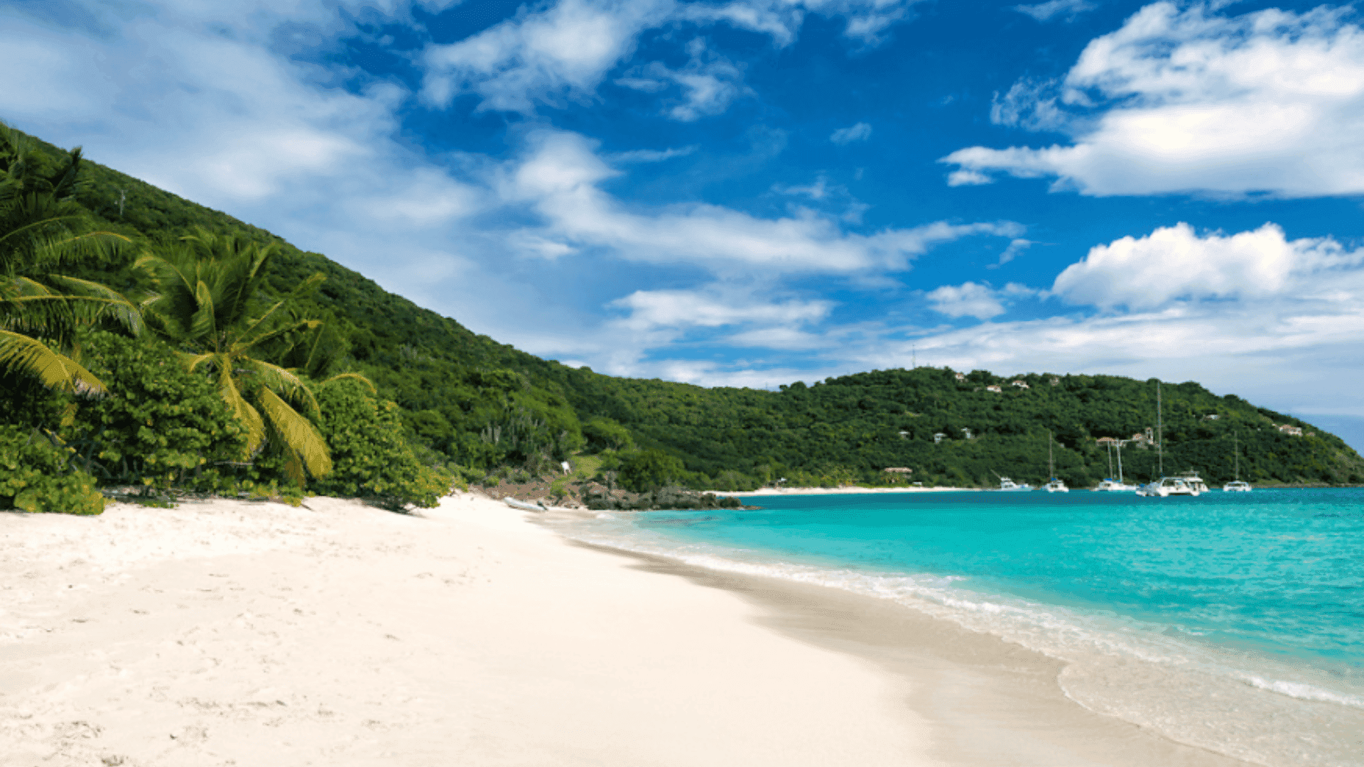 white-bay-jost-van-dyke