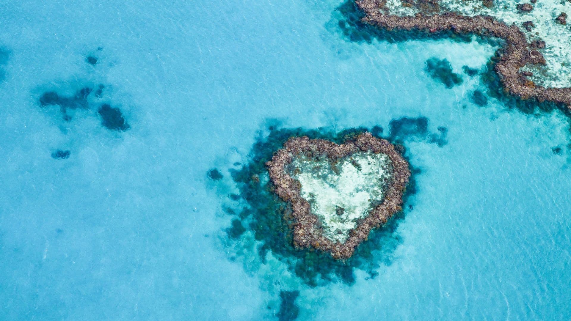 heart reef whitsundays
