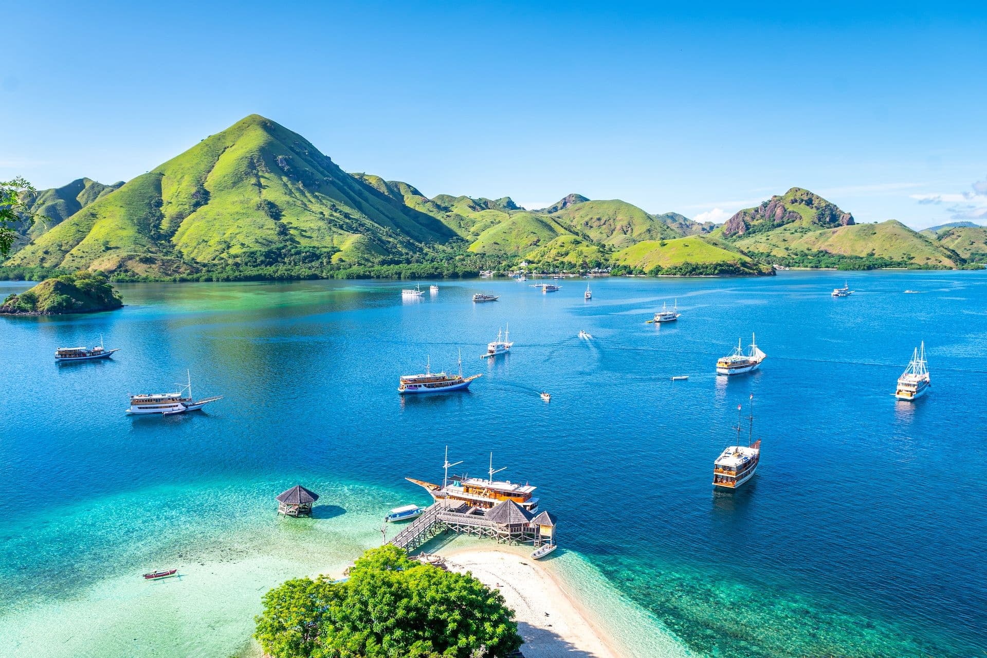 Komodo Indonesia