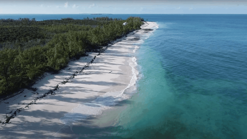 bahamas-beach-shore-abacos