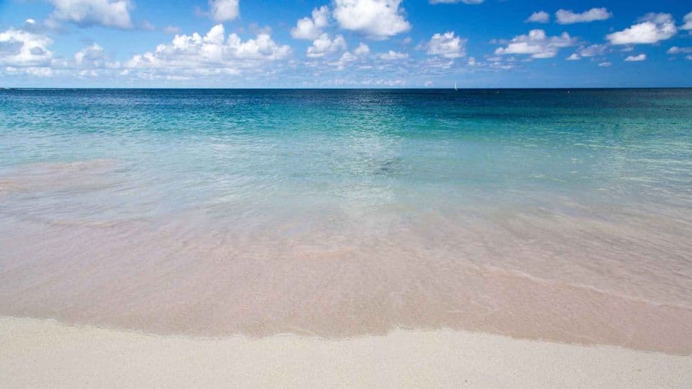 beach-antigua