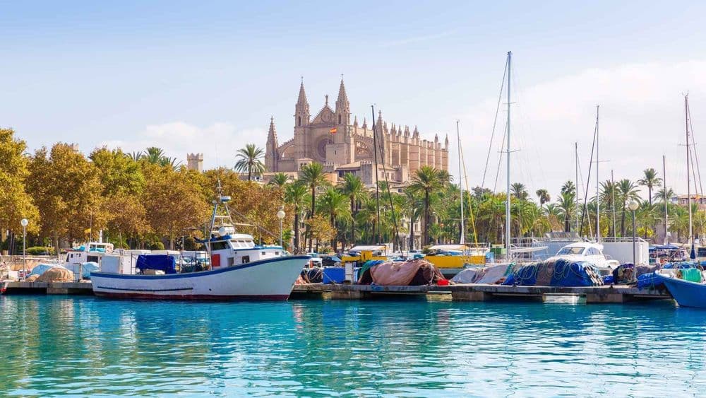 majorca cathedral