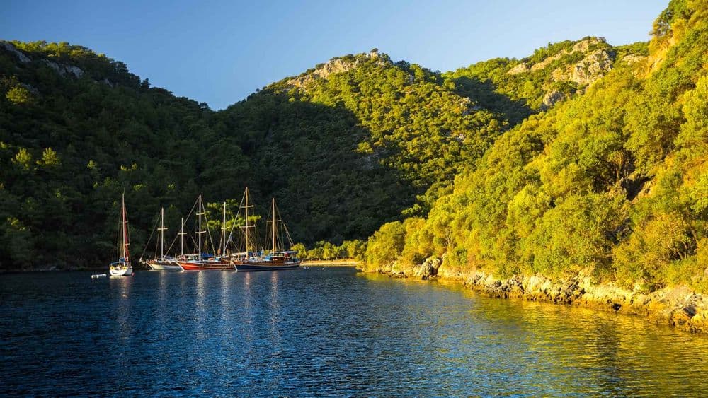 skopea limani wall bay