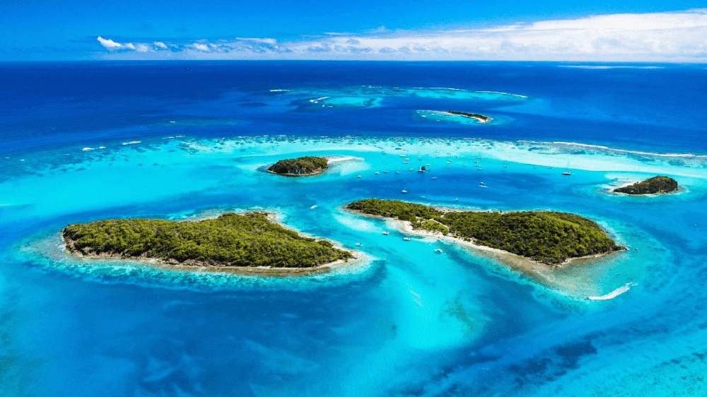 Tobago Cays Marine Park