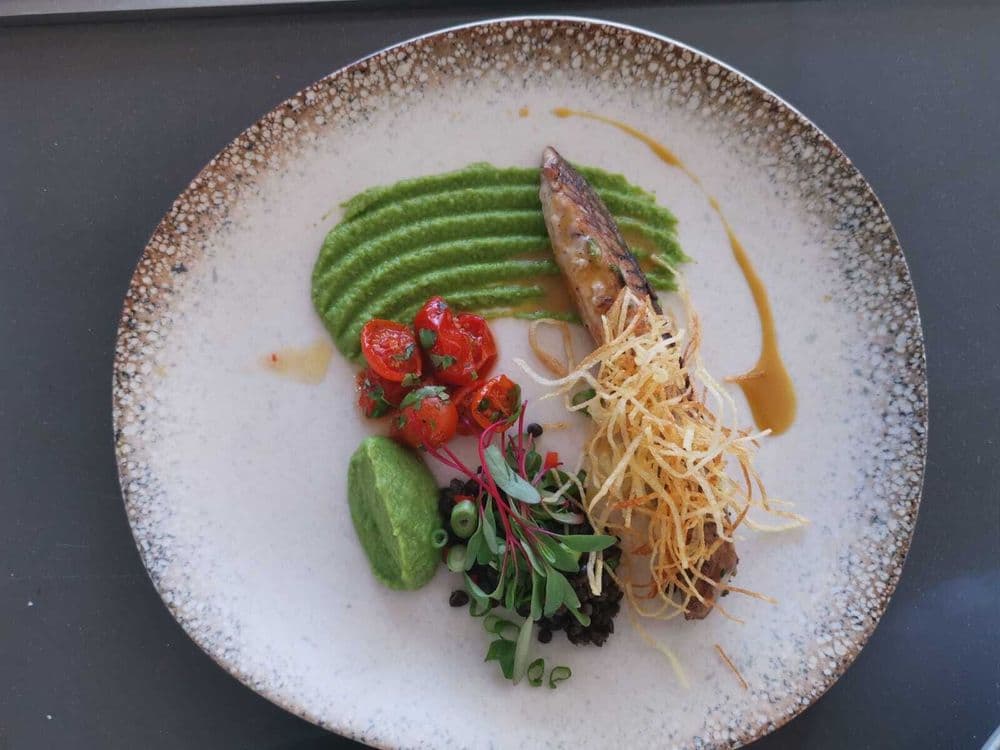 chef-dragan-food-crewed-cat
