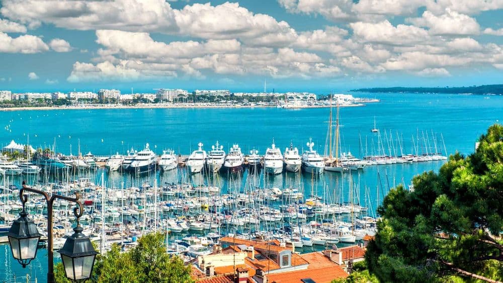 cannes marina moored