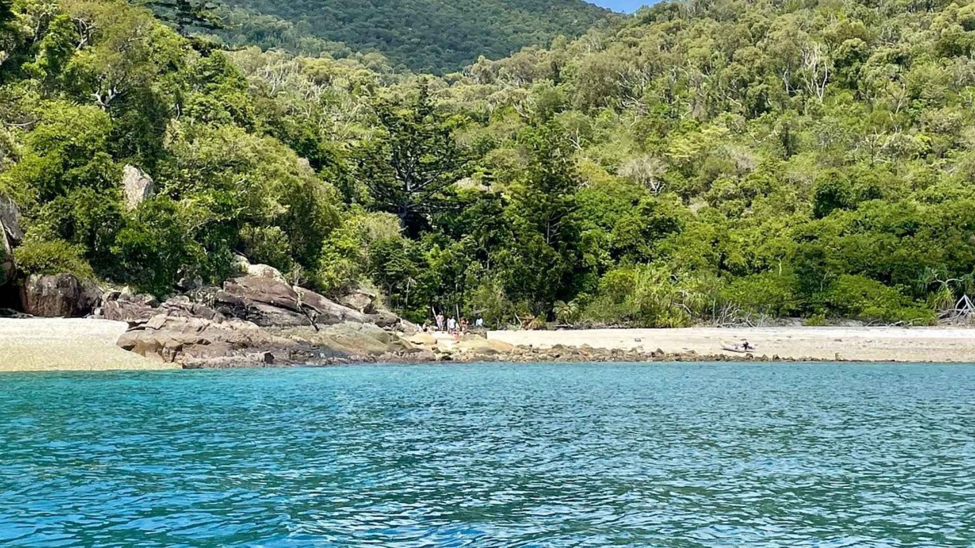 maureens cove butterfly bay