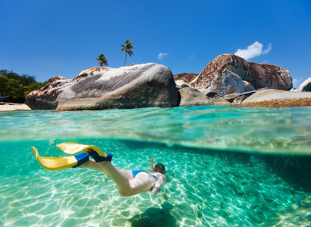snorkelling-bvis