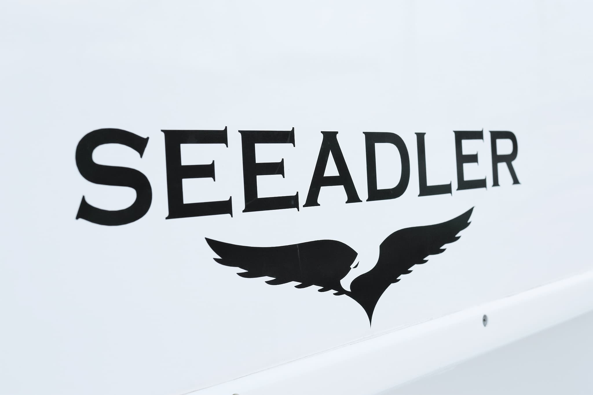 Seeadler