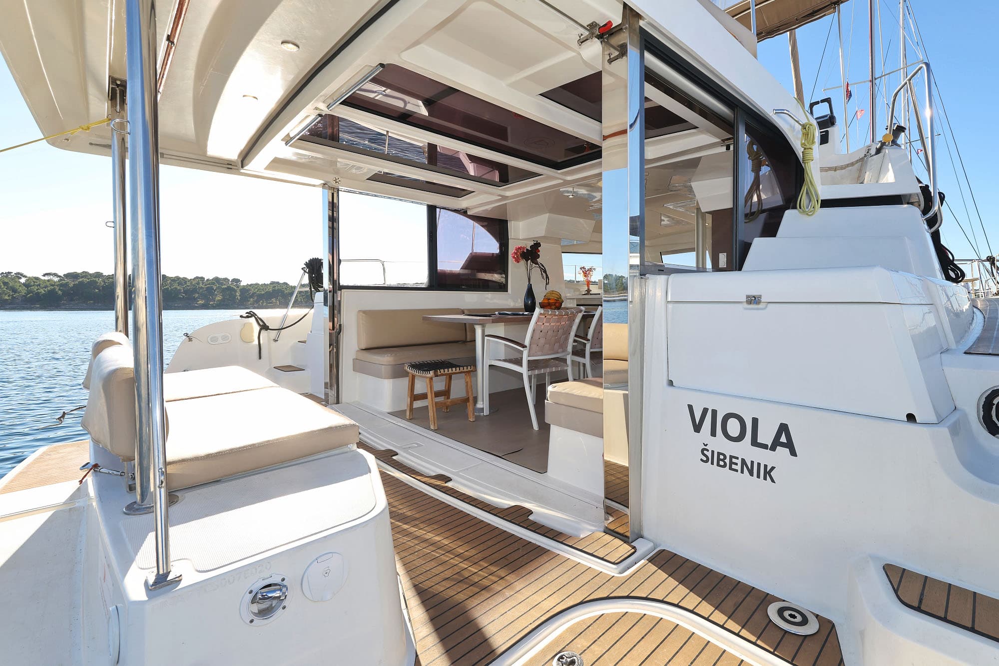 Viola