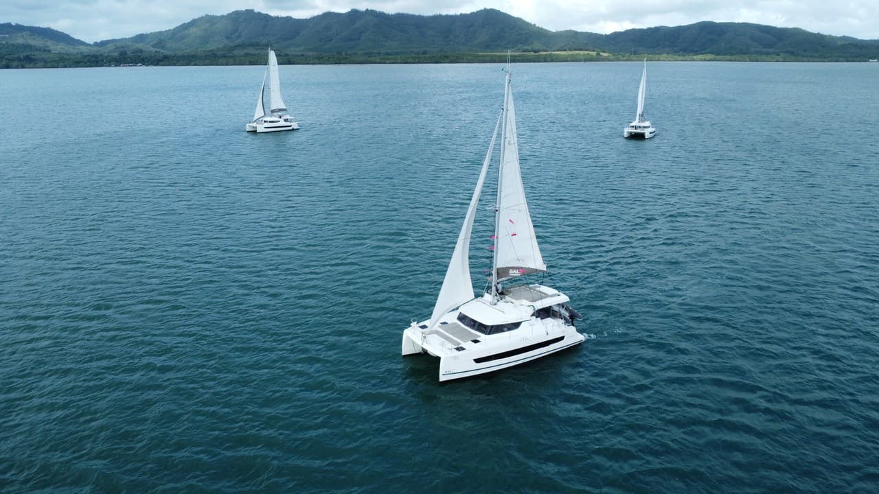 Joyous – Catana Group