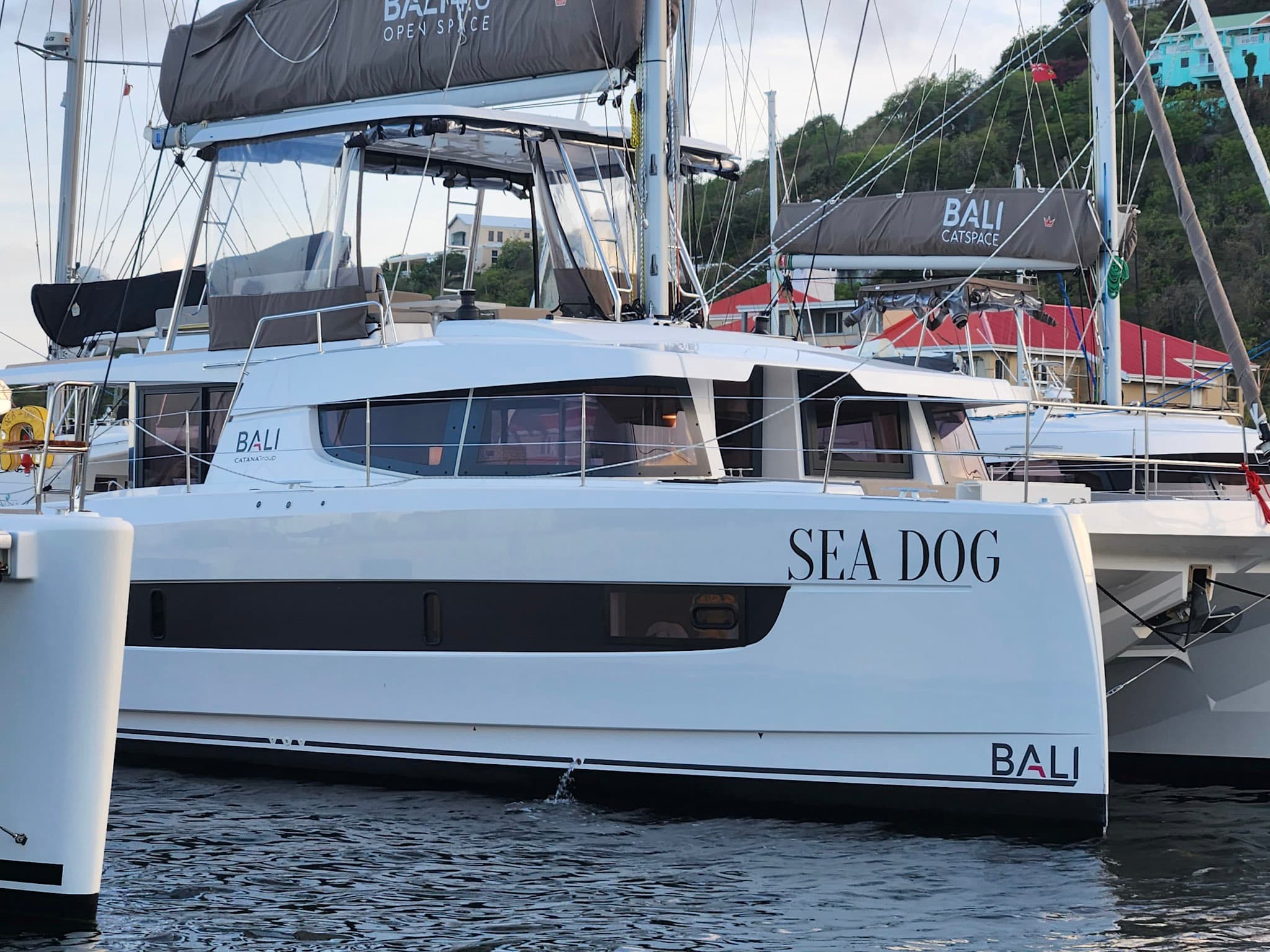 Sea Dog – Catana Group
