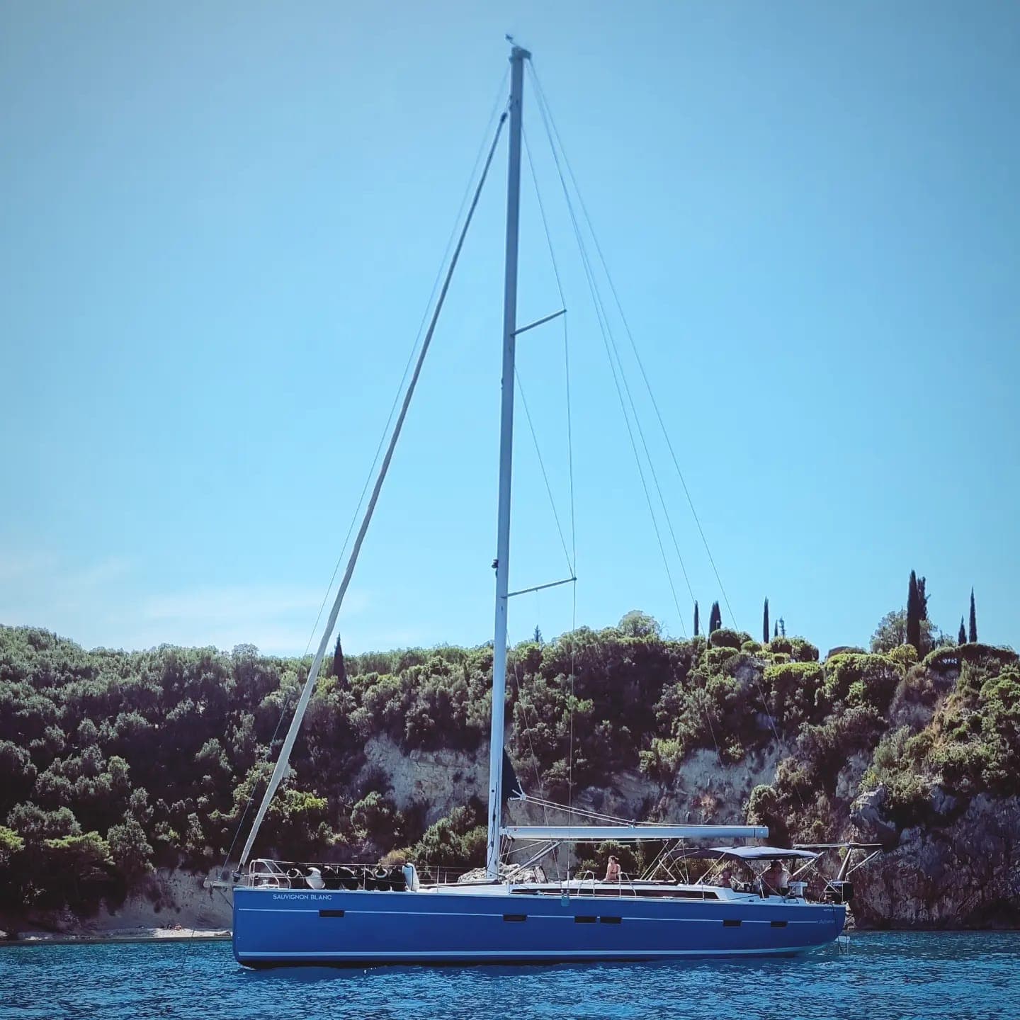 Sauvignon Blanc – D&D Yacht