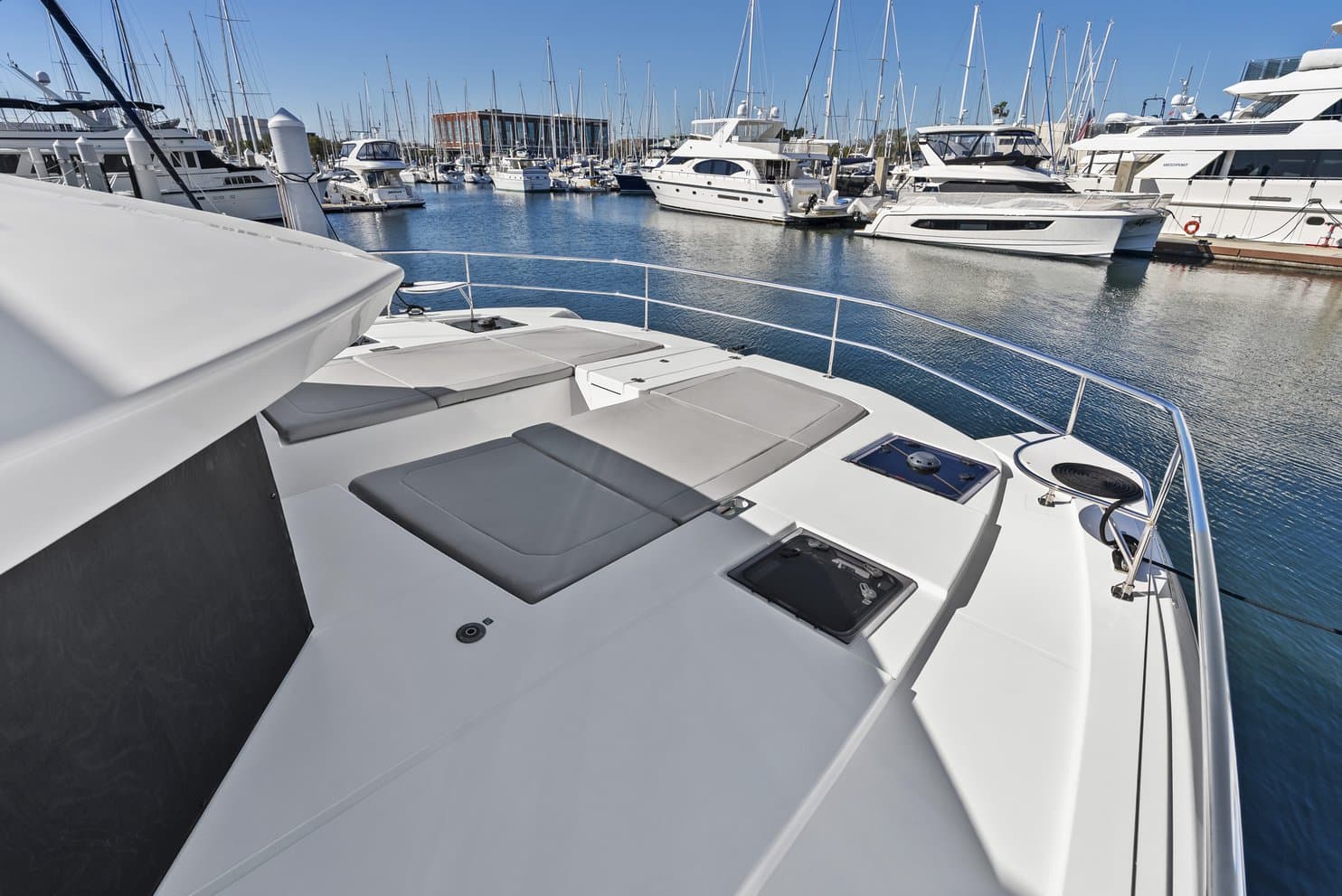 Nauti Cat