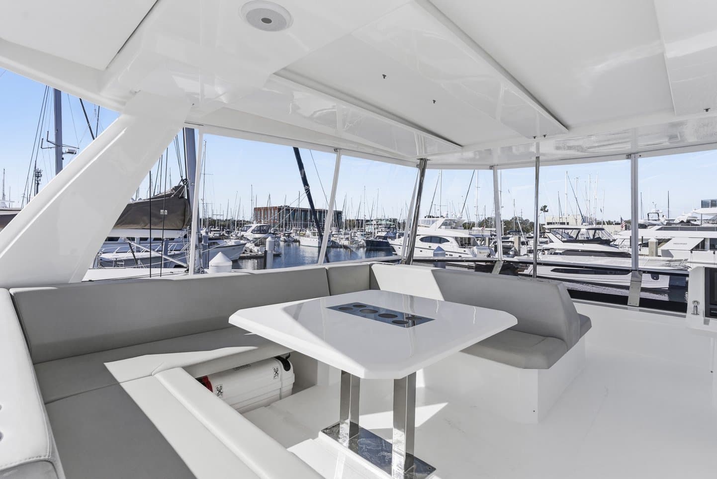 Nauti Cat