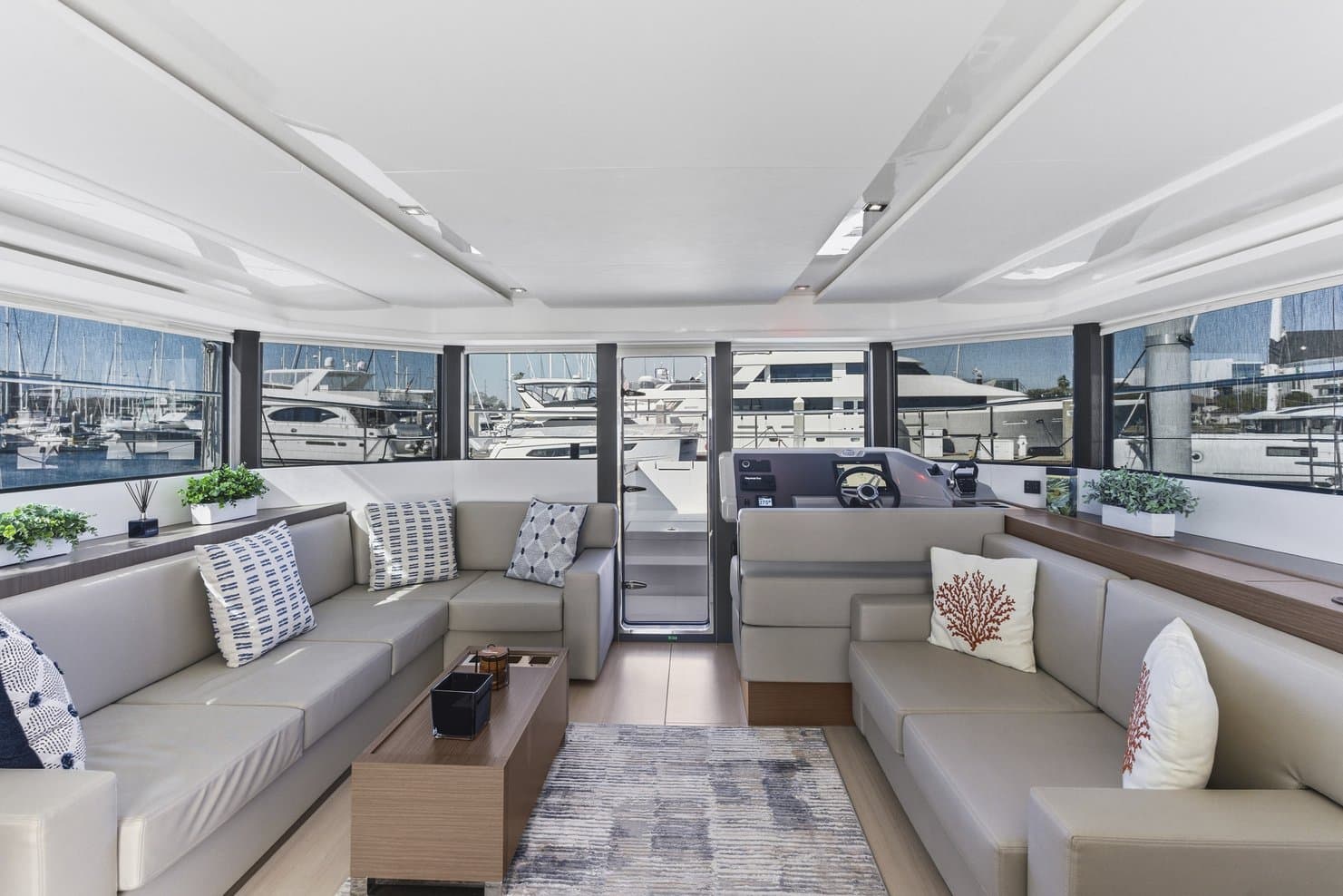Nauti Cat