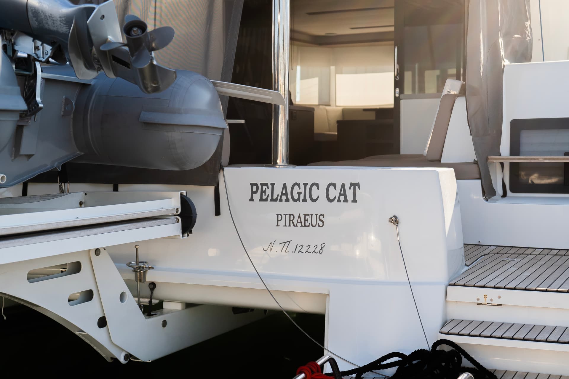 PELAGIC CAT