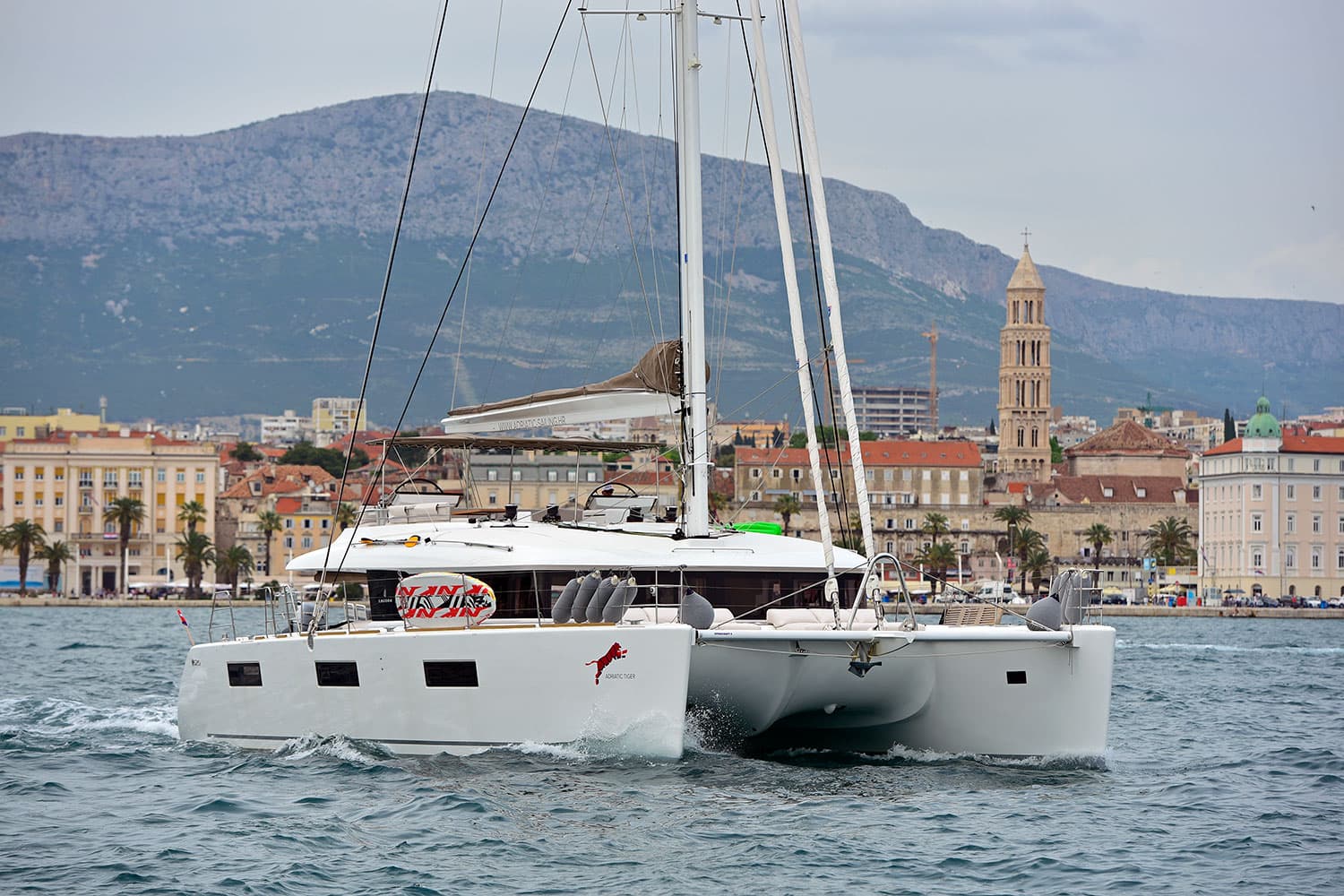 ADRIATIC TIGER