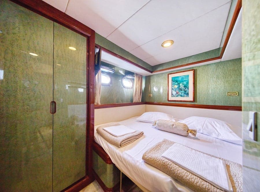 Custom Blanka
