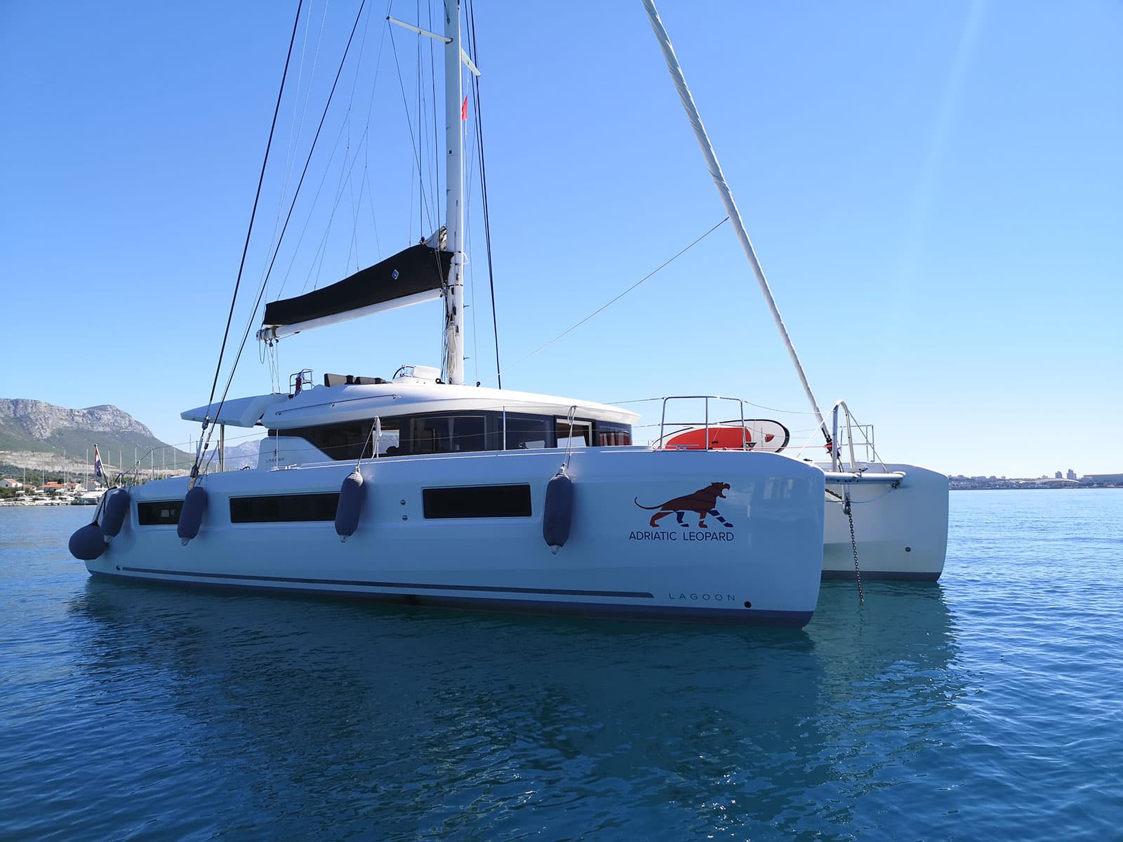 ADRIATIC LEOPARD