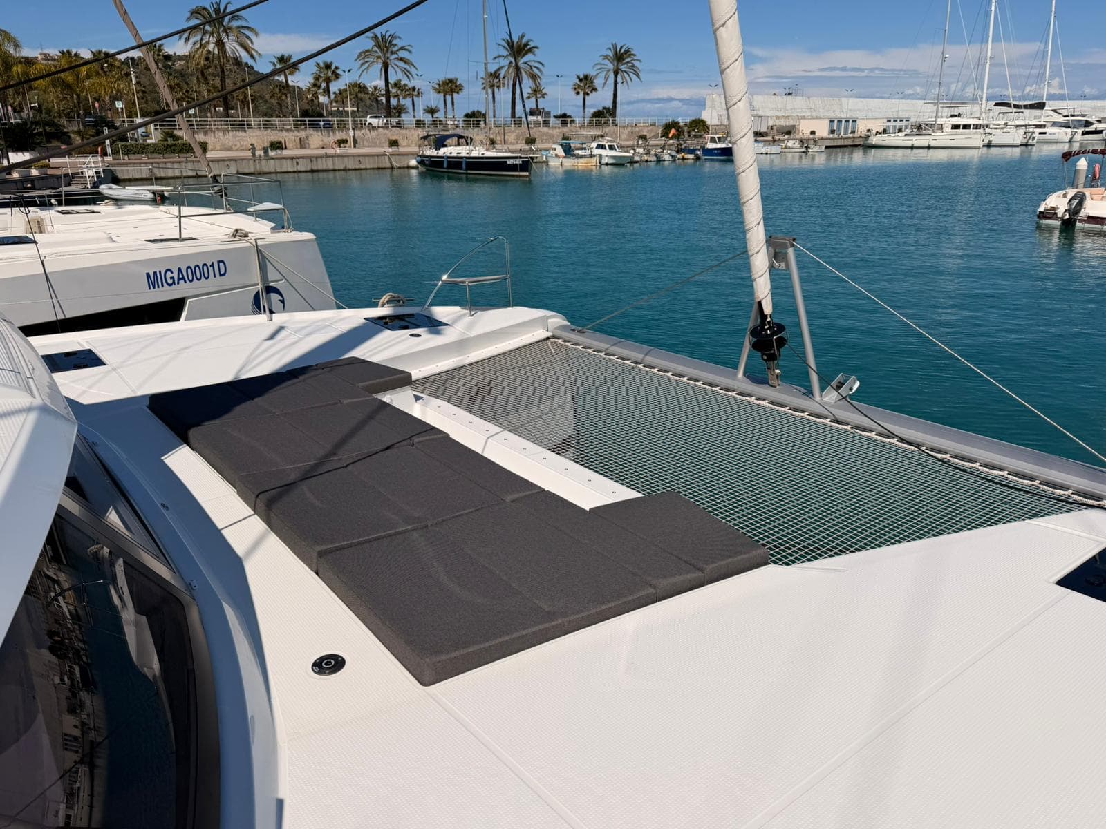 BLU DOLPHIN