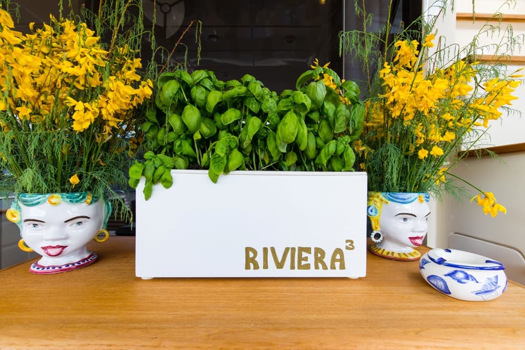 RIVIERA guest review