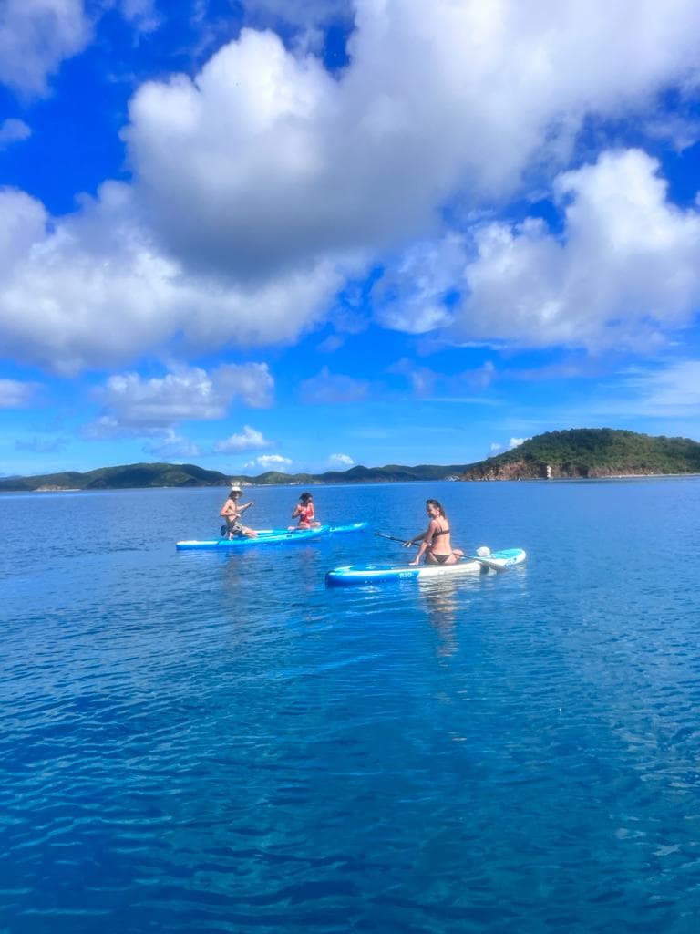 LISA OF THE SEAS guest review