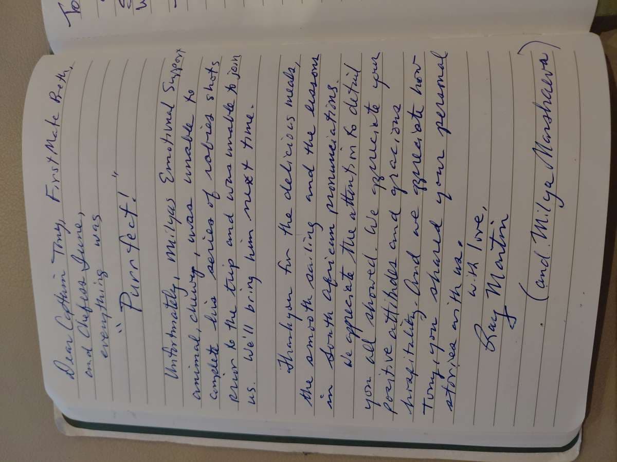 LAUREL LEE guest review